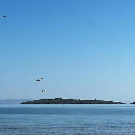 Lägenhet Summer Mood, Forest Feeling In