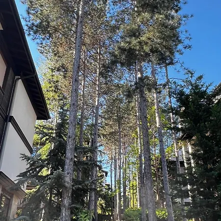 Apartament Summer Mood, Forest Feeling In *
