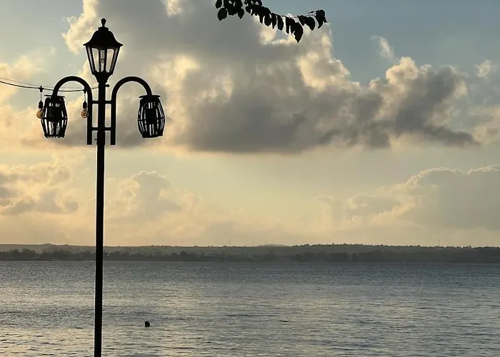 Summer Mood, Forest Feeling In 索佐波尔