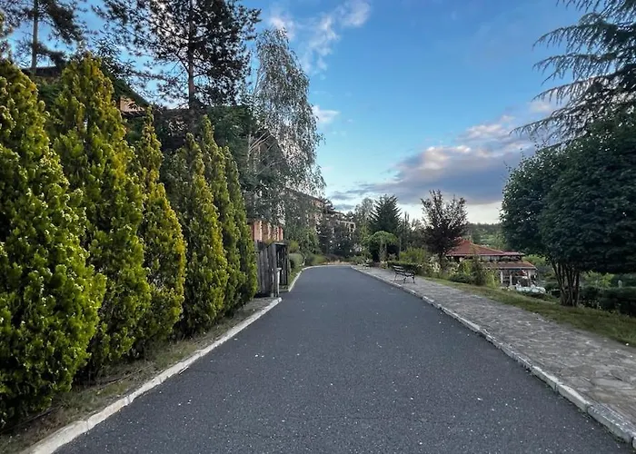 Summer Mood, Forest Feeling In 索佐波尔