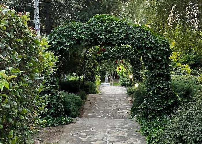 Summer Mood, Forest Feeling In *