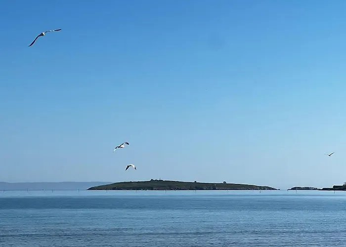 公寓 Summer Mood, Forest Feeling In