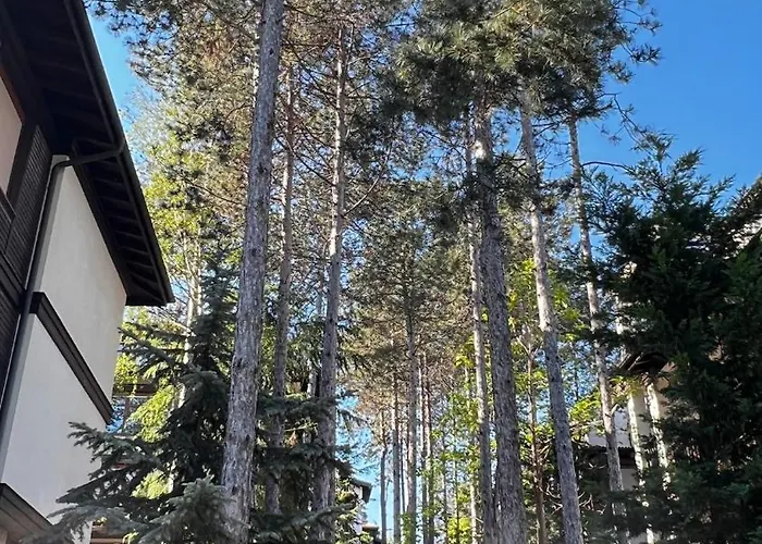 公寓 Summer Mood, Forest Feeling In *